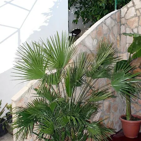 6051b Apartament *
